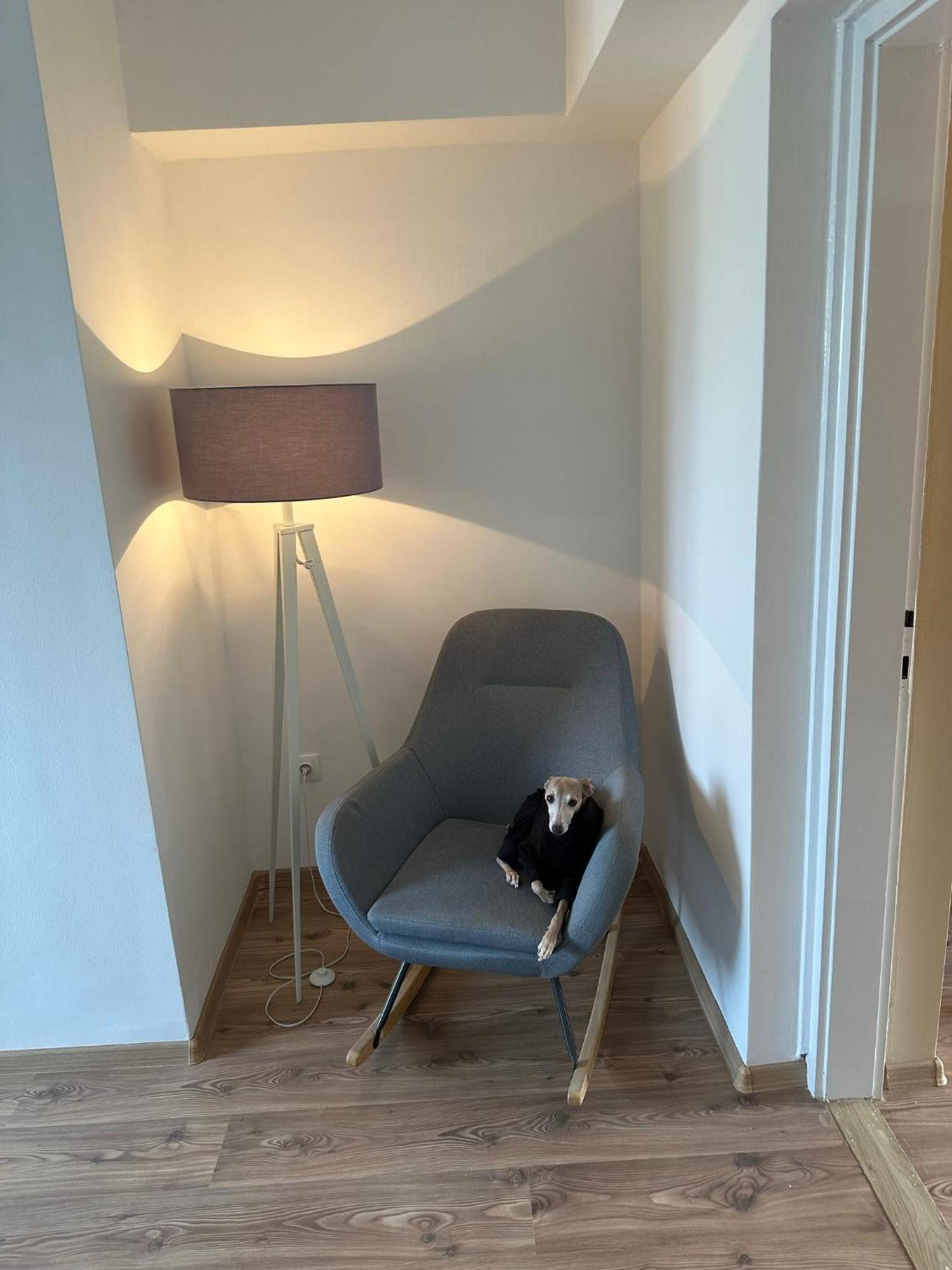 Home Sweet Apartment Xl Bük Екстериор снимка